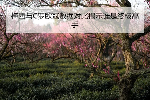 梅西与C罗欧冠数据对比揭示谁是终极高手